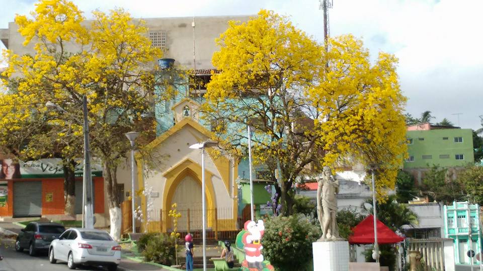 Bom Jardim