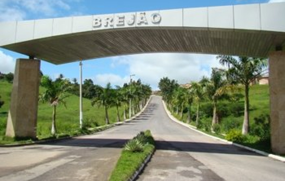 Brejão