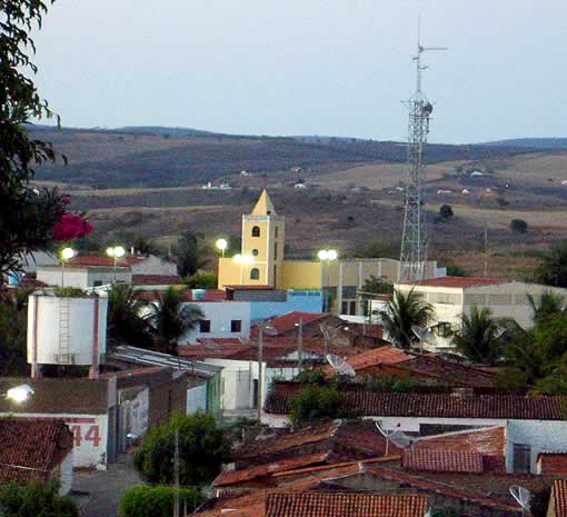 Cedro